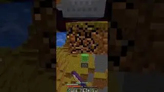 Best Minecraft tas player