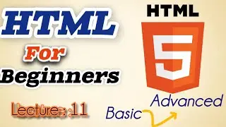 Button elements||select in HTML.HTML Tutorial for Beginners 11.Web Development 