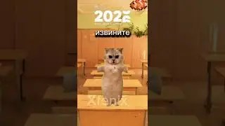 Ну что ребят всех с Новым годом #youtubeshorts #cat #нарезки #эракотов