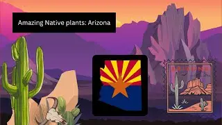 Amazing Native Plants: Arizona ep22