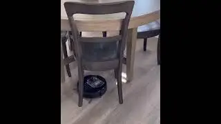 Lefant M320 Robot Vacuum Cleaner, Powerful Visible Dustbin,purchase link👉 