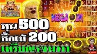 Caishen Rishes ค่ายjoker ➤ ทุน 500 เหรียญจงมาาาาา 🤩🤩