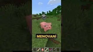 Sk&uacute;s tieto skryt&eacute; triky s menovan&iacute;m itemov v Minecrafte!