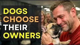 We Let Dogs Pick Their Families on Adoption Day And THIS Happened 😢