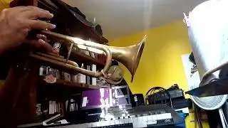 JW Canción 13 