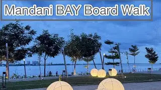 Afternoon Walk in Mandani Bay Boardwalk | The best here 