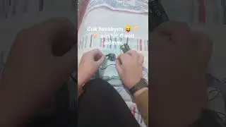 amcalar kovalardı
