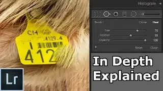 Lightroom Spot Removal Tool Tutorial - In Depth Explained & How To Remove Complex Structures