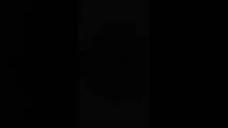 The world of fireflies