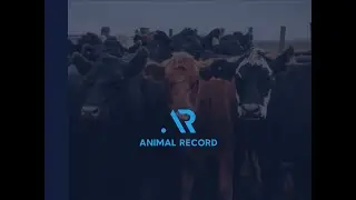Animal Record &ndash; Product Preview