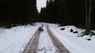 Leili ja Hille sivulle