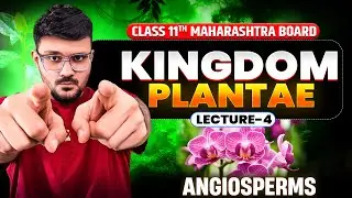 Kingdom Plantae Class 11 | Maharashtra Board Biology | Angiospermae Lecture 4