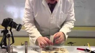 Летающий чайный пакетик