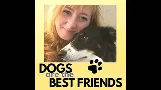 Ep 40 - Raven Scott, her mini Schnauzer, Filly, and fun with dog Zodiac personalities
