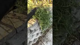 Yarduty gettin' in there