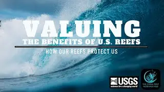 Valuing the Benefits of US Reefs #coralreef #reef  #coastalprotection #ocean #marinebiology #nature