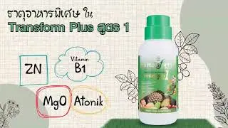 Transform Plus 1ทรานส์ฟอร์ม พลัส สูตร 1