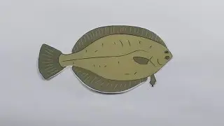 Finding Flounders: Outsmarting the Art of Camouflage