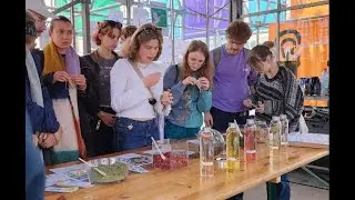 Business Design for Peace | oostaMo at Dutch Design Week 2024