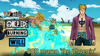 SSR Marco 'the phoenix' shirohige first commander | One piece burning will 《航海王：燃烧意志》