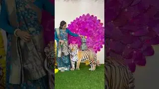 Made a beautiful Navratri Mataji with a little creativity and the Fevicol MR Festive Edition Pack 💙