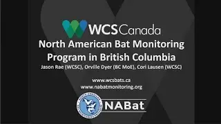 Presentation: North American Bat Monitoring Program in BC