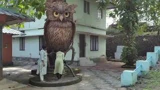 Salim Ali Bird Sanctuary, Thattekkad, Photo session.