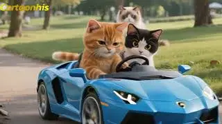 🐯🐯🐯 Cat Mama Cat Mama Trims Fur on the Farm and Makes For Kittens At Home🐾🎩🐯