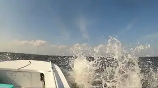 Mitzi Skiff 17 in Rough Water | Winds South 13-18mph | ToadFish Cup Test