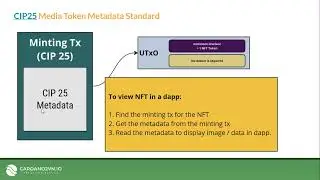 Giới thiệu về c&aacute;c chuẩn Metadata cho Token: CIP25 vs CIP68