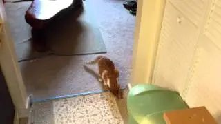 Tula Being Tula