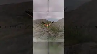 One shot one kill 🎯 Took down legendary Flamingo in Hunting Clash&mdash; #Hunting #Wildlife #GameOn