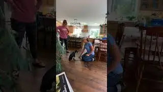 Teaching a 10lb dog to Lie Down