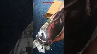 9cm height increase insole/Unboxing 😱/just ₹150 only😱/