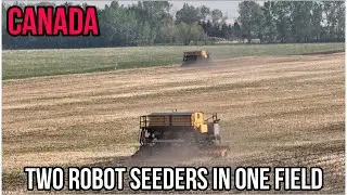 Two robot seeders in one field. Western Canada. Olds College.