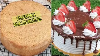Pan Esponja 🍞 SOLO 4 INGREDIENTES para tus pasteles de 3 leches 🎂