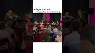 Allegretto vivace  #violin #classicalmusic