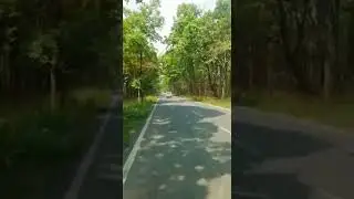 Mala ka jungle Vikas Yadav status video