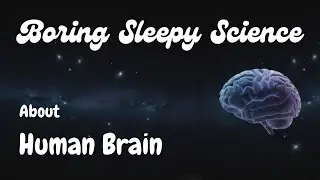 The Human Brain &ndash; 4 Hours of Calm, Boring Science to Help You Sleep