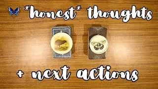 ❤️‍🔥❤️‍🩹 THEIR *HONEST* THOUGHTS ABOUT YOU + NEXT ACTIONS 😍🥰 *pick a card* Timeless Tarot Reading 🔮💫