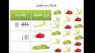 رياضيات الصف الثالث - جمع البيانات وتنظيمها