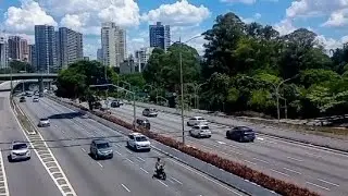 Parque Ibirapuera, se vocês gostaram de natureza, paisagens então é aqui🌳🚦🚓