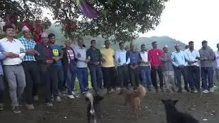 गौरव पर्व देउडा खेल चडेपनि 