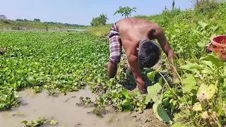 Incredible Hand Fishing | Boy Hunting lots of Catfish in Deep Hole by Hand-Traditional Hand Fishing