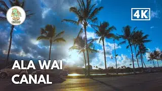 [4K] Ala Wai Canal in Waikiki, Honolulu, Hawaii USA | Walking tour