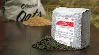 Life Data&reg; Forage Balancer: Fortify the Natural Forage Diet of the Horse