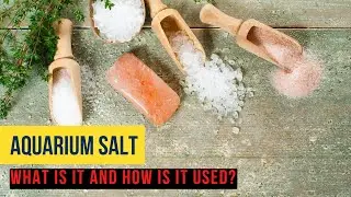 Aquarium Salt - What is it and How it is used in a Flowerhorn Fish Tank?