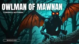 England's Mysterious Mothman from Cornwall Folklore - Owlman of Mawnan