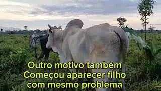 @Reprodutor com problema 