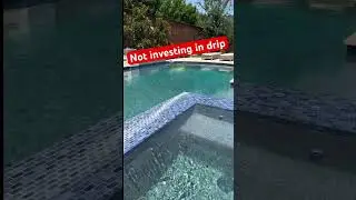 Drip investors #dripnetwork #drip #dripcommunity